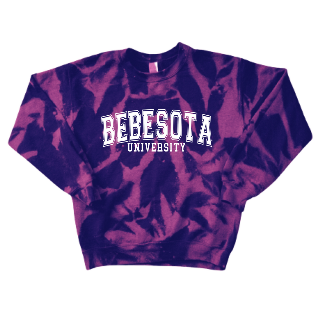 BEBESOTA University